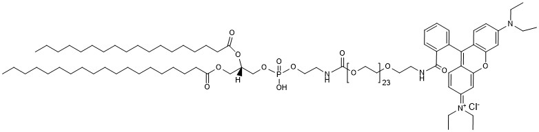 DSPE-PEG24-Rhodamine B