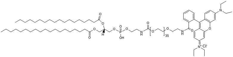 DSPE-PEG36-Rhodamine B