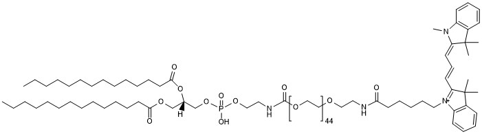 DMPE-PEG45-CY3
