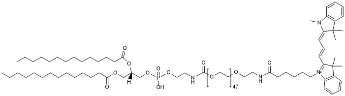 DMPE-PEG48-CY3