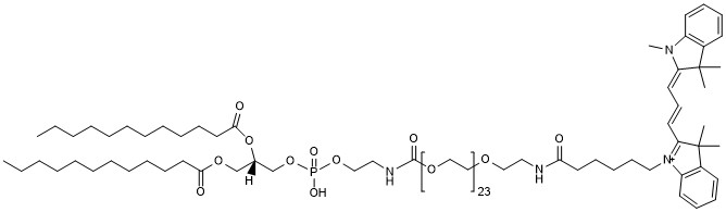 DLPE-PEG24-CY3