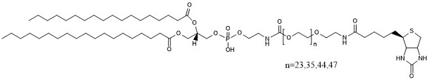 Biotin-PEG-DSPE