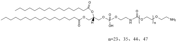 DPPE-PEG-NH2